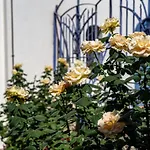 Casa Azzurra * Messina