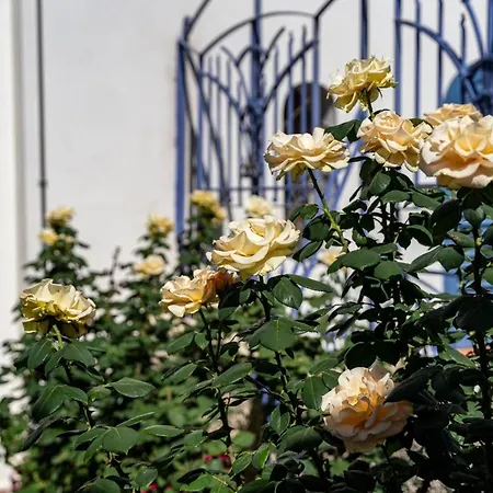 Casa Azzurra * Mesyna