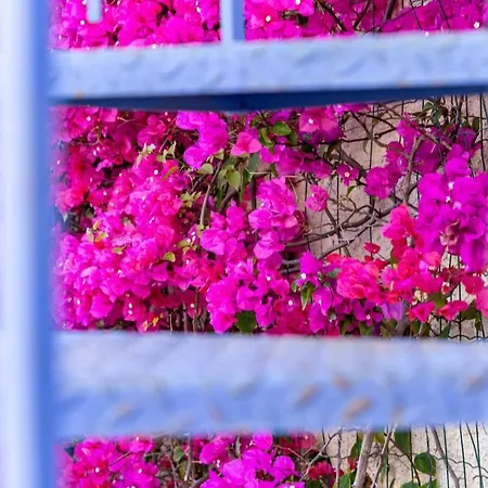 דירה Casa Azzurra מסינה